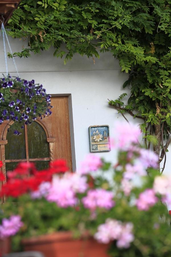 Agriturismo Maso Santa Libera Tesero Εξωτερικό φωτογραφία